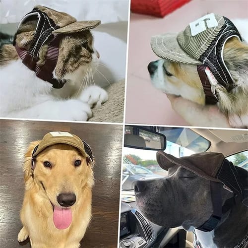 Gorra con vicera para perro