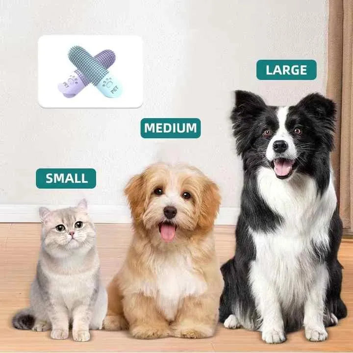 Cepillo de Dientes para Mascota
