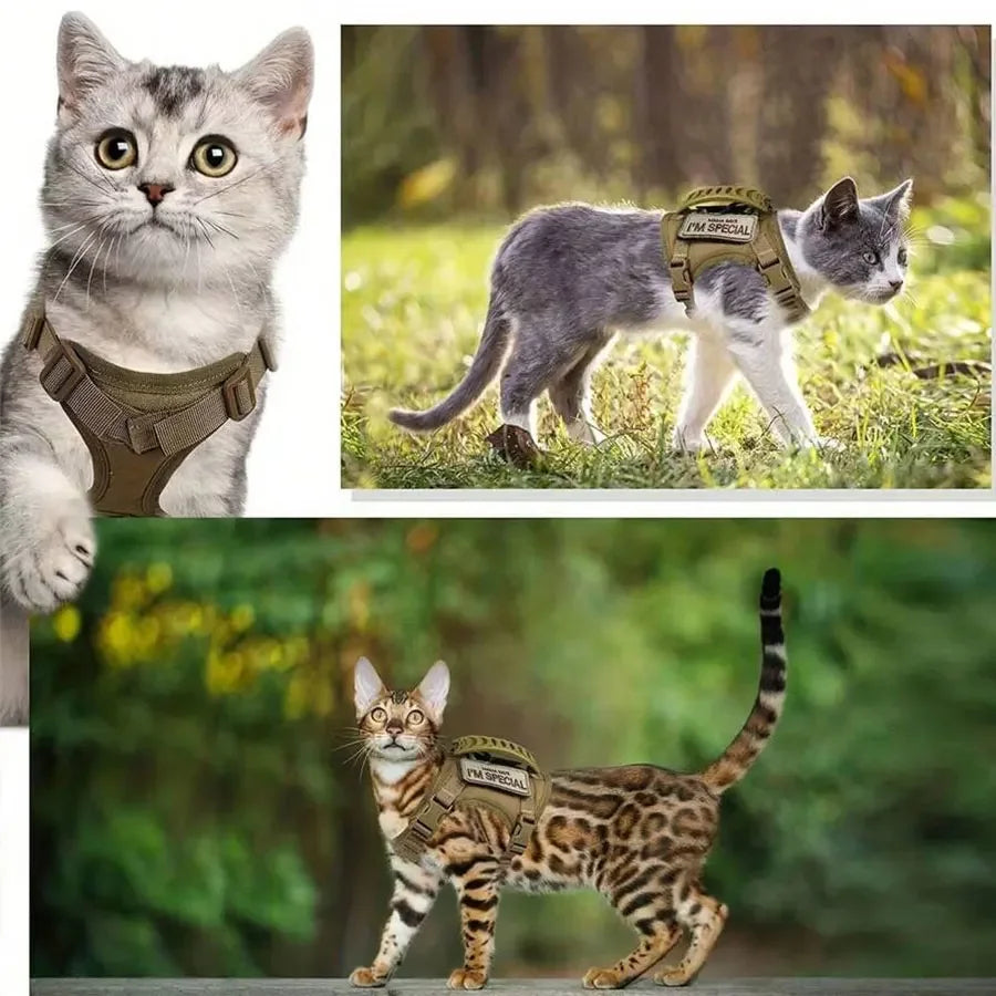 Conjunto chaleco y Correa para Gato estilo aventurero