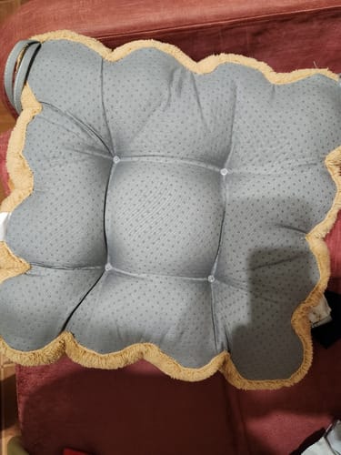 Almohadon de silla diseño tostada animada