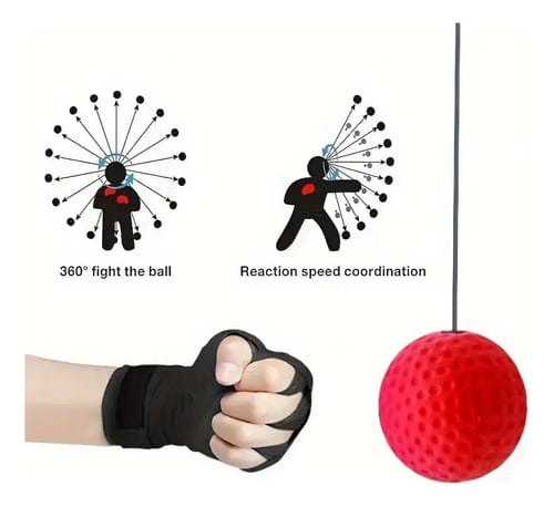 Banda de entrenamiento bola de reaccion