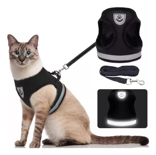 Arnes reflector Con Correa para gatos
