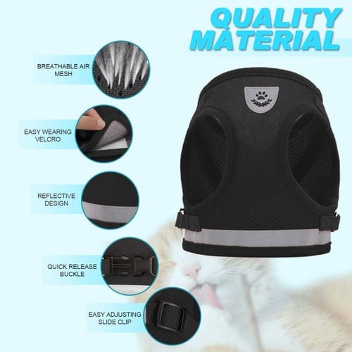 Arnes reflector Con Correa para gatos