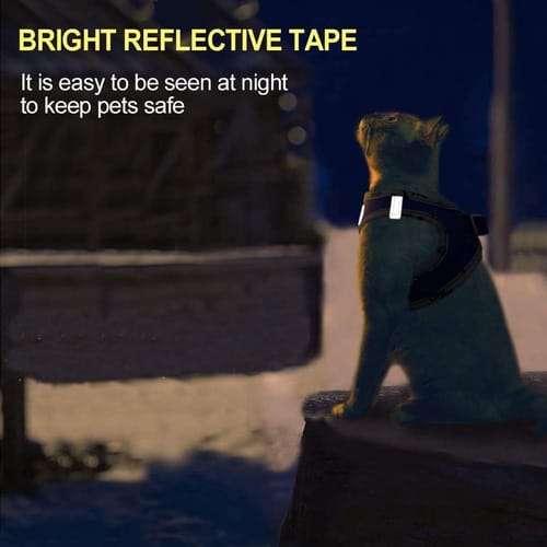 Arnes reflector Con Correa para gatos