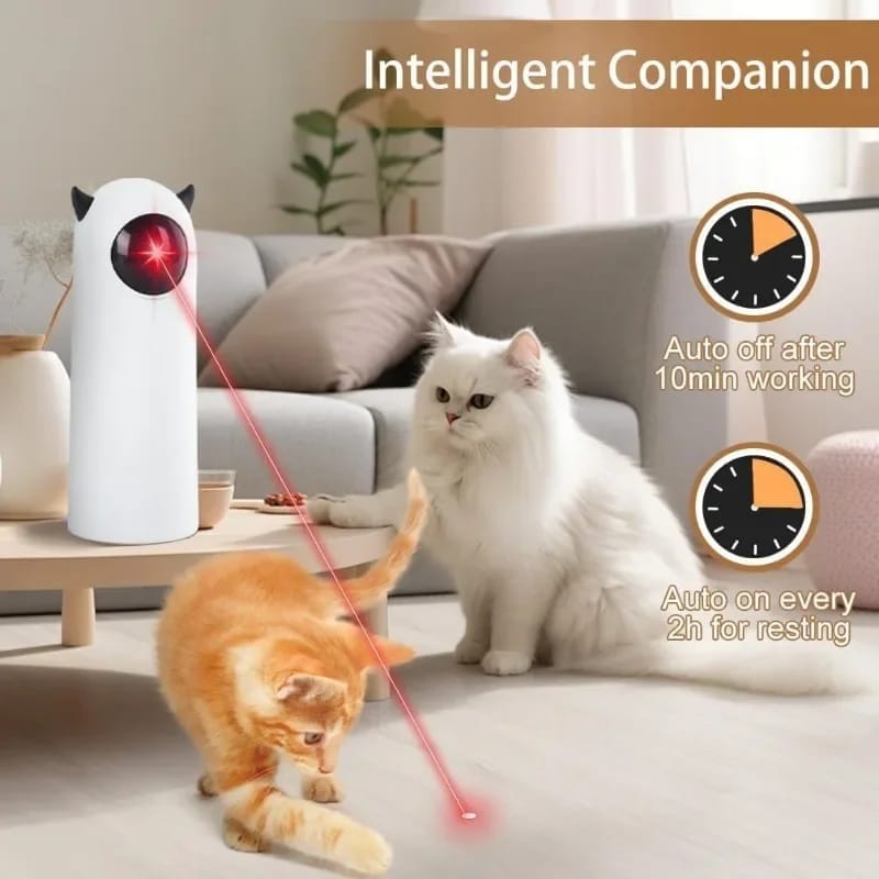 Juego para gato puntero laser