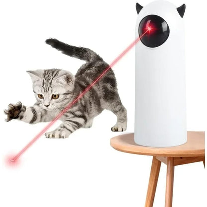 Juego para gato puntero laser