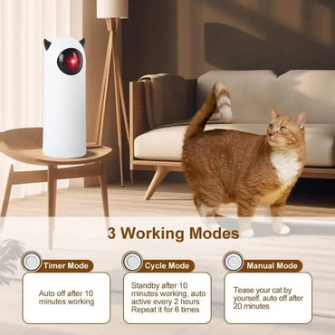 Juego para gato puntero laser