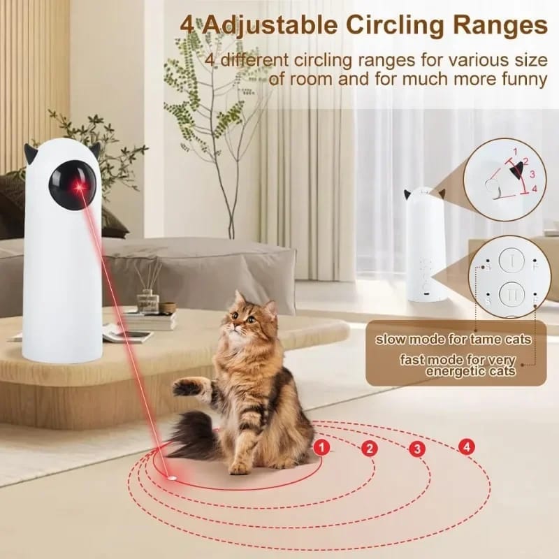 Juego para gato puntero laser
