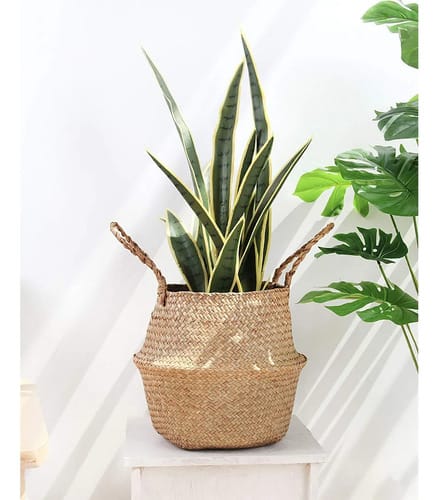 Maceta yute / ratan con asas diseño vasija 