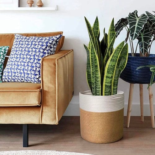 Maceta yute / ratan con asas diseño cilindrico simple bitono