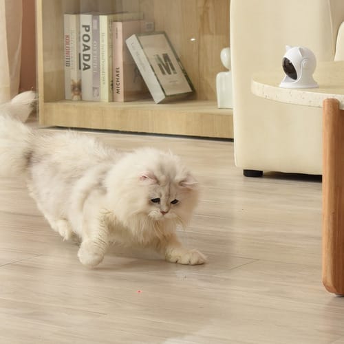Juego laser automatico para gatos