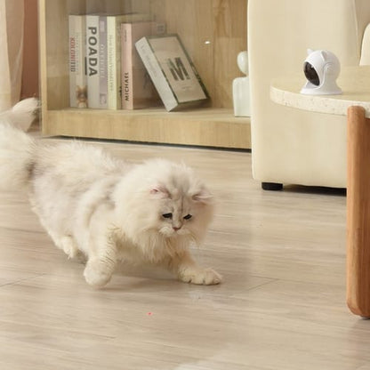 Juego laser automatico para gatos
