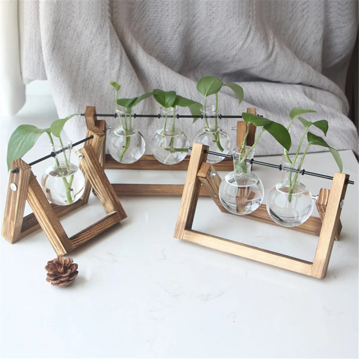 Jarrón de Vidrio Maceta Terrario para Plantas Hidropónicas de Escritorio/Mesa