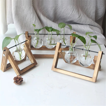 Jarrón de Vidrio Maceta Terrario para Plantas Hidropónicas de Escritorio/Mesa