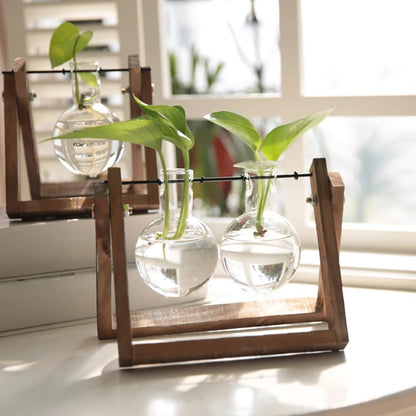 Jarrón de Vidrio Maceta Terrario para Plantas Hidropónicas de Escritorio/Mesa
