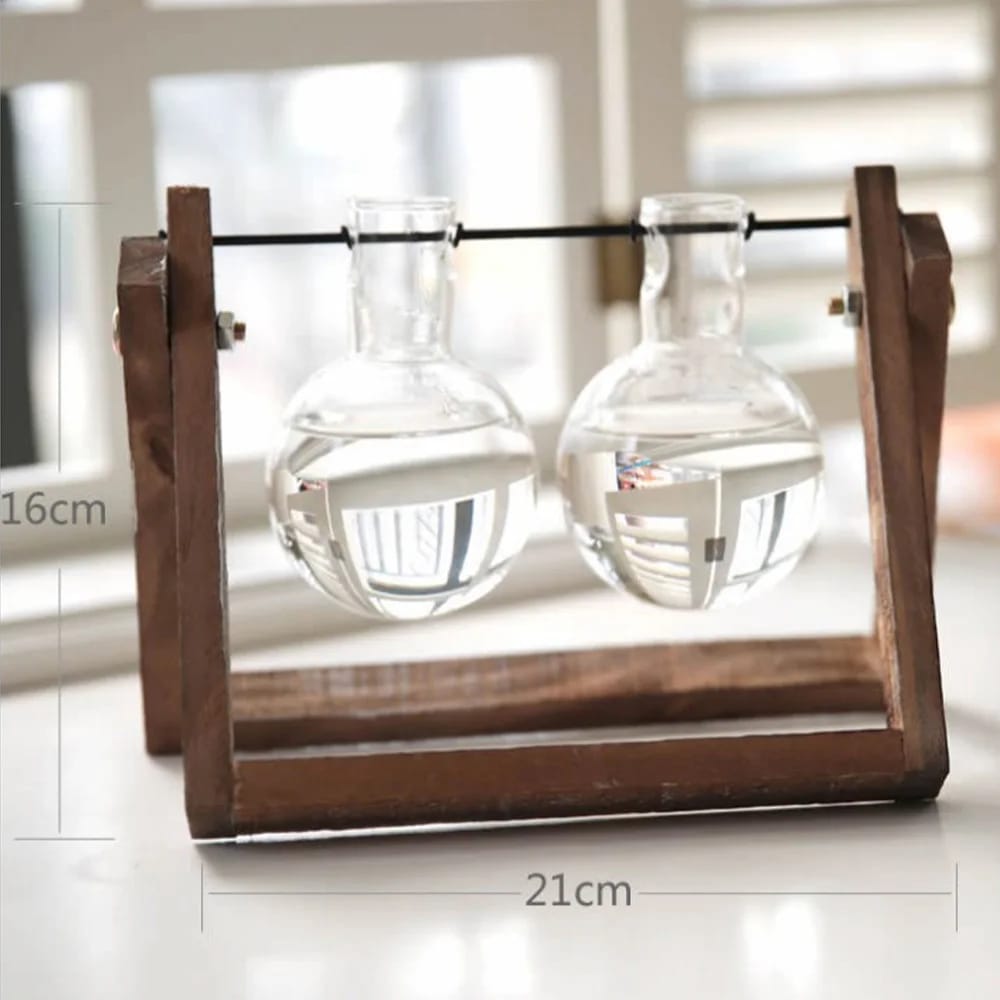 Jarrón de Vidrio Maceta Terrario para Plantas Hidropónicas de Escritorio/Mesa