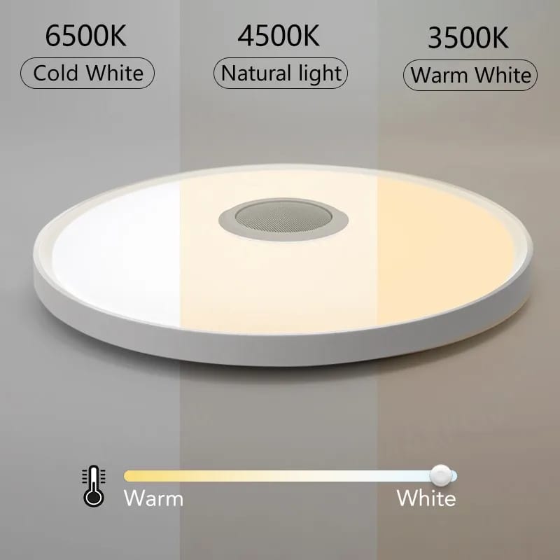 Plafon Lámpara de Techo Inteligente RGB Música Control Remoto