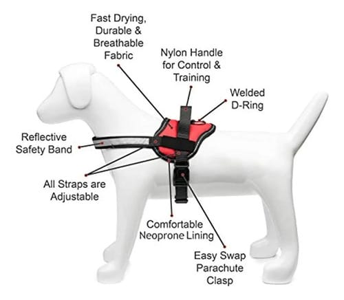 Pretal Arnés Perro Tipo Malla Reflectivo