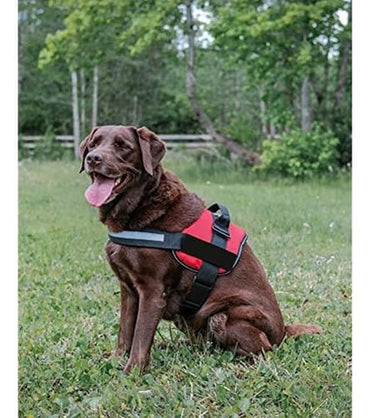 Pretal Arnés Perro Tipo Malla Reflectivo