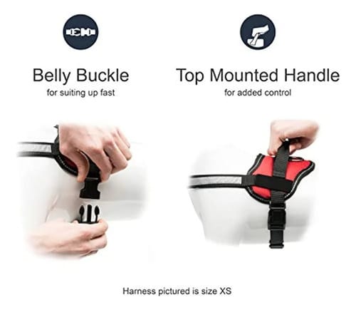 Pretal Arnés Perro Tipo Malla Reflectivo