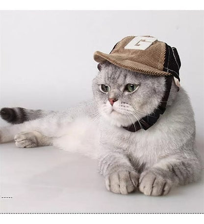 Gorra con vicera para perro