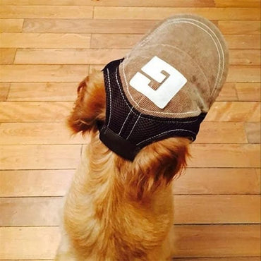 Gorra con vicera para perro