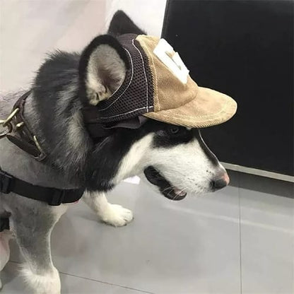 Gorra con vicera para perro