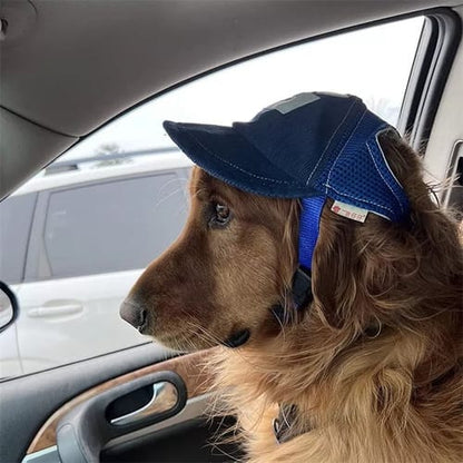 Gorra con vicera para perro