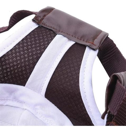Gorra con vicera para perro