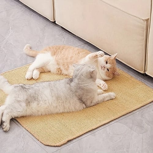 Rascador de gato para pared