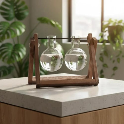 Jarrón de Vidrio Maceta Terrario para Plantas Hidropónicas de Escritorio/Mesa