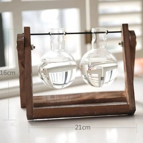 Jarrón de Vidrio Maceta Terrario para Plantas Hidropónicas de Escritorio/Mesa