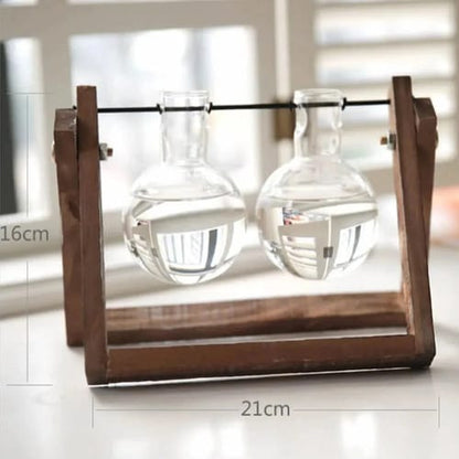 Jarrón de Vidrio Maceta Terrario para Plantas Hidropónicas de Escritorio/Mesa