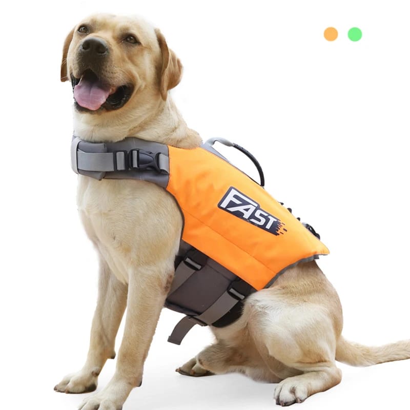 Chaleco Salvavidas Reflectante Y Ajustable Para Perros Deportistas