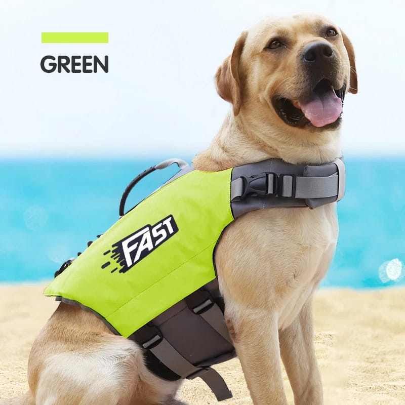Chaleco Salvavidas Reflectante Y Ajustable Para Perros Deportistas