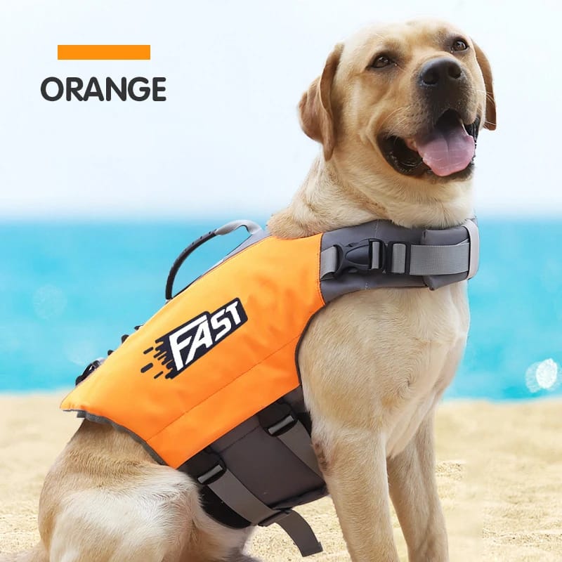 Chaleco Salvavidas Reflectante Y Ajustable Para Perros Deportistas