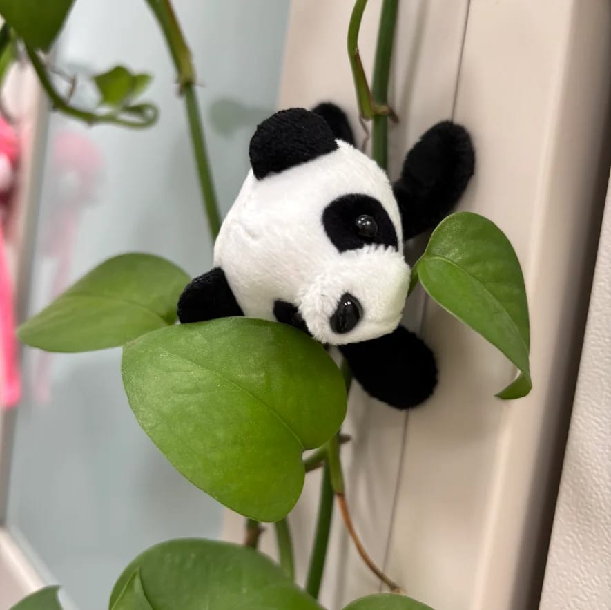 Imán de Panda de Peluche Suave y Lindo - Decoración para Heladera y Pizarra. Ideal para Regalo y Organizar.