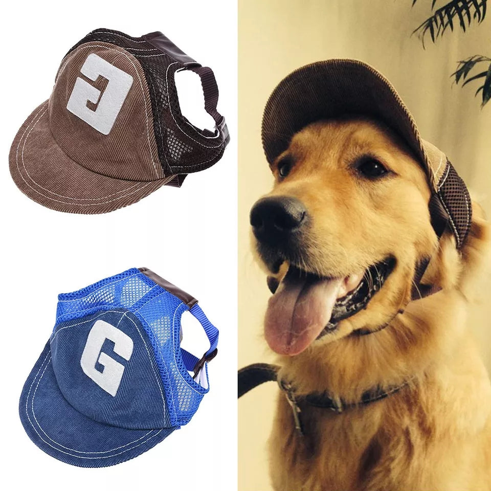 Gorra con vicera para perro