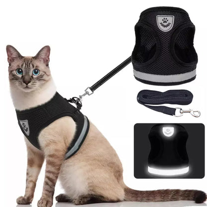 Arnes reflector Con Correa para gatos