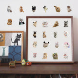 Kit De Stickers Adhesivos Gatitos Meme Gatos