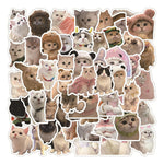 Kit De Stickers Adhesivos Gatitos Meme Gatos