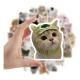 Kit De Stickers Adhesivos Gatitos Meme Gatos