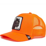 Gorros Gorra Snapback Calidad Y Diseño Con Parche Animales