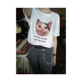 Remera Camiseta Dama Meme Gatito Entreg 24 Hs!