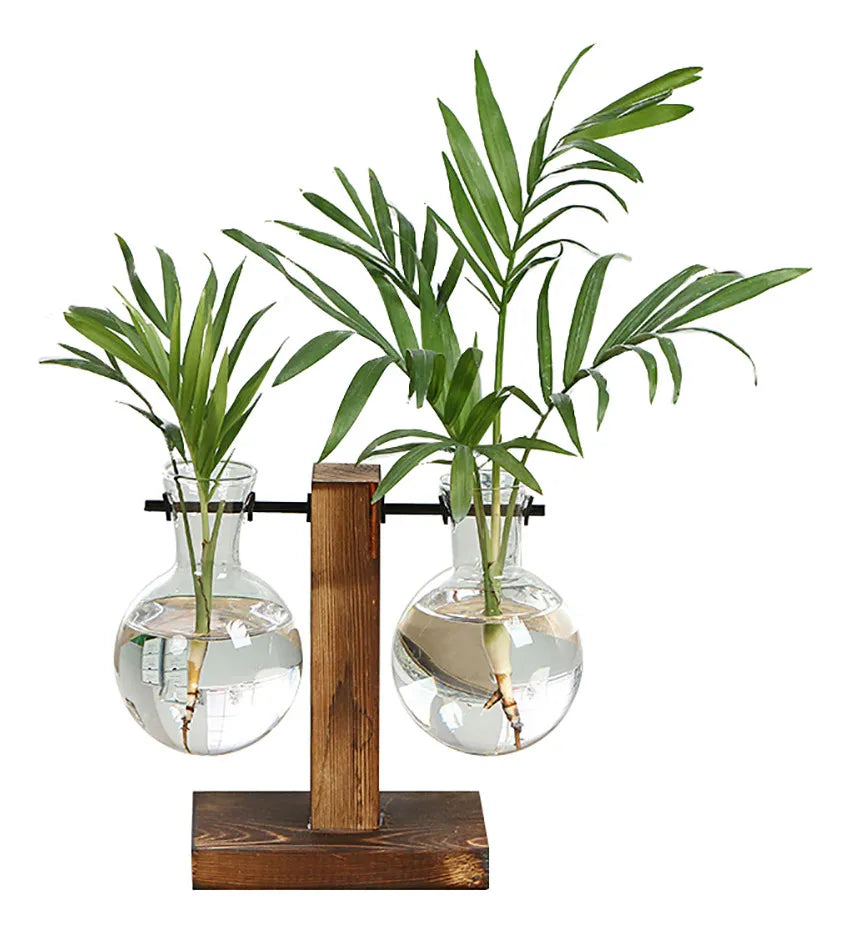 Combo Plantas Hidropónicas Florero Madera + Jarrón Vidrio
