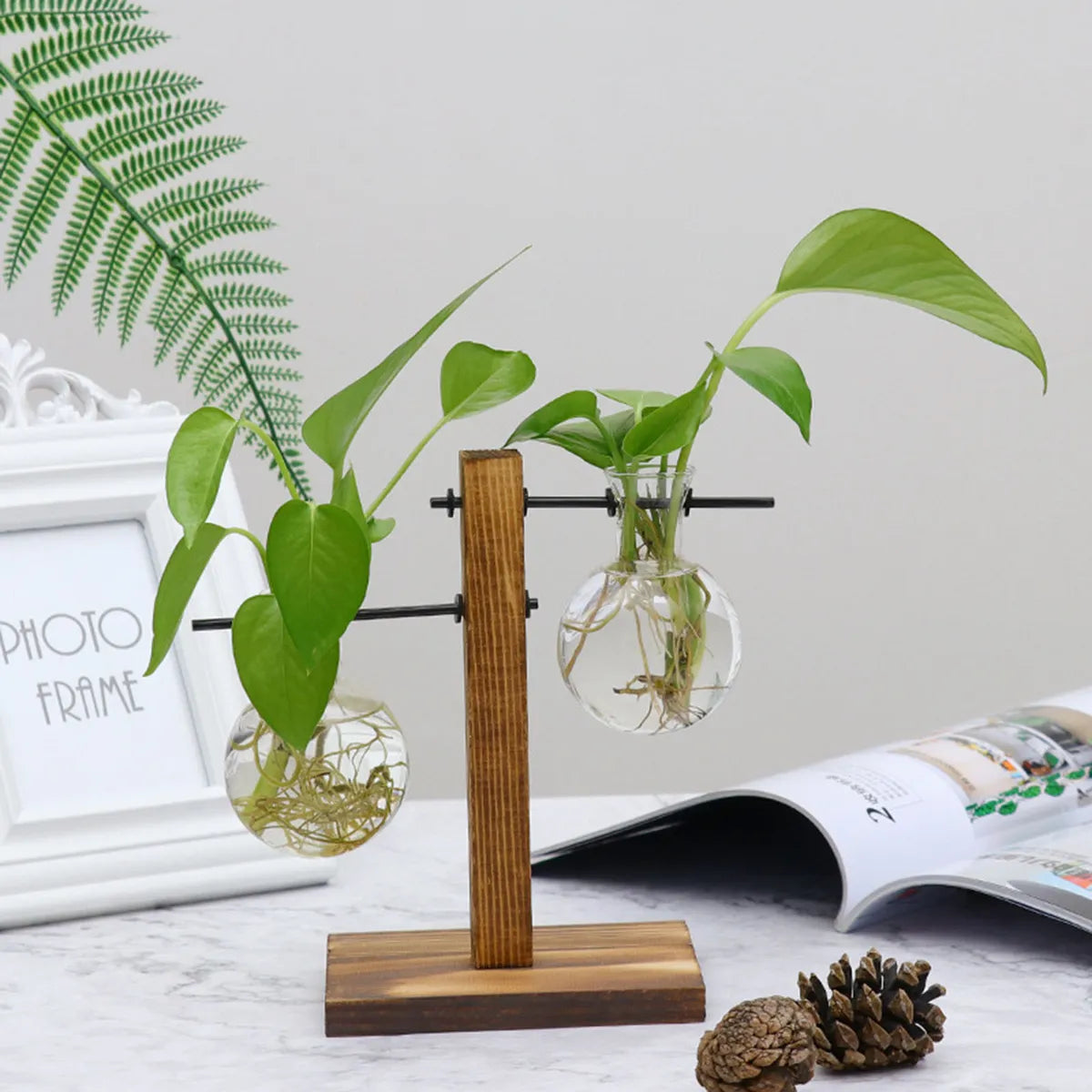 Combo Plantas Hidropónicas Florero Madera + Jarrón Vidrio