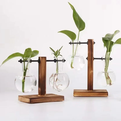 Florero hidroponia de madera para brotes en agua