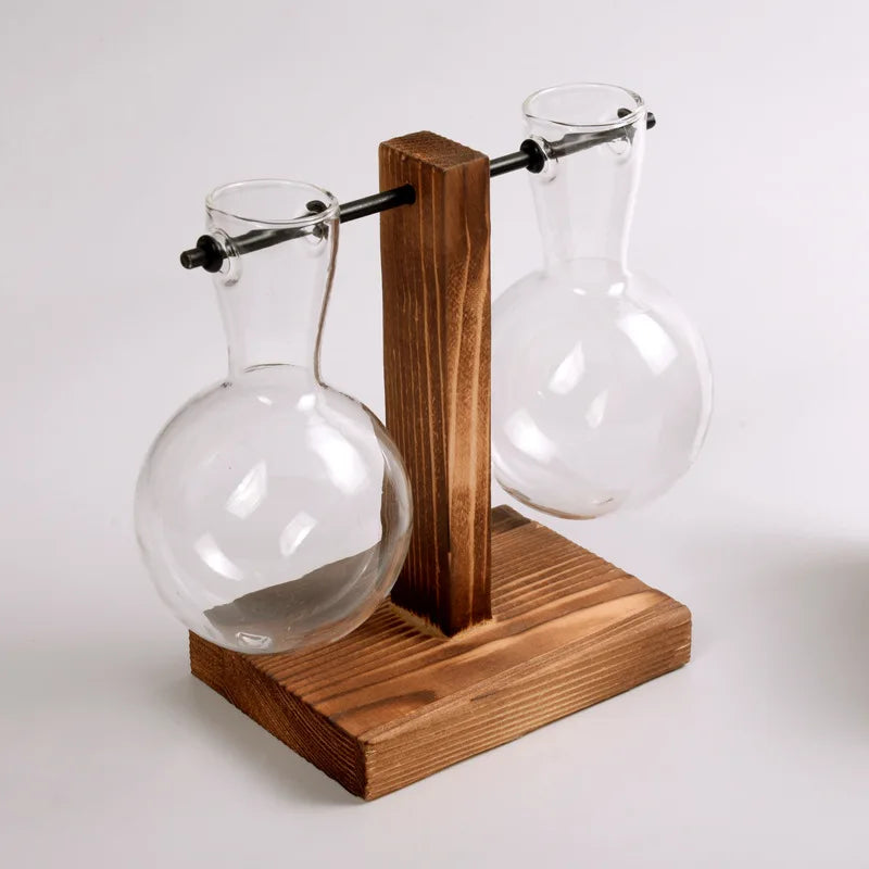 Combo Plantas Hidropónicas Florero Madera + Jarrón Vidrio