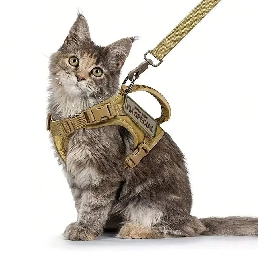 Conjunto chaleco y Correa para Gato estilo aventurero