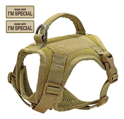 Conjunto chaleco y Correa para Gato estilo aventurero